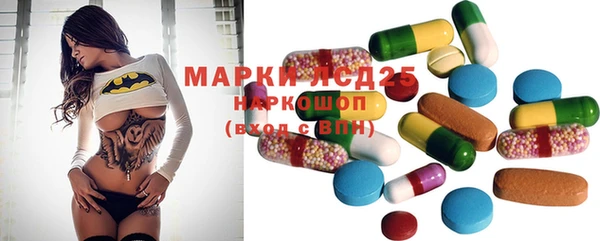прущие грибы Алзамай