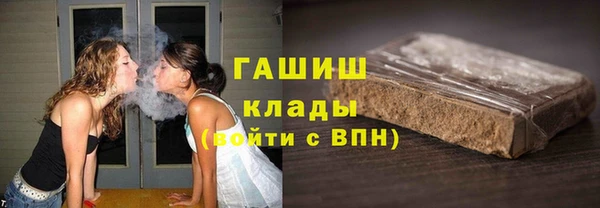 прущие грибы Алзамай