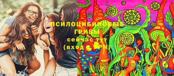ПСИЛОЦИБИНОВЫЕ ГРИБЫ Алексеевка