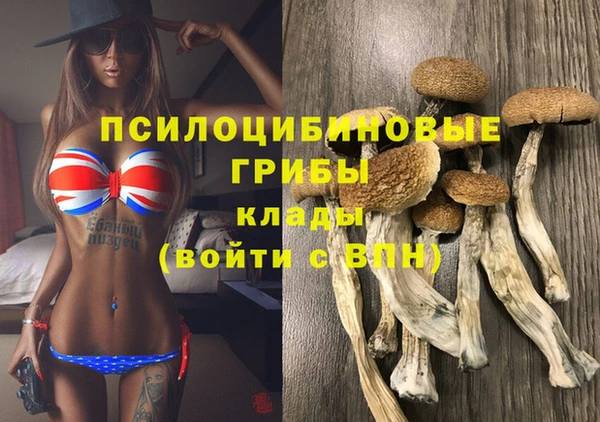 прущие грибы Алзамай