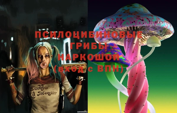 ПСИЛОЦИБИНОВЫЕ ГРИБЫ Алексеевка