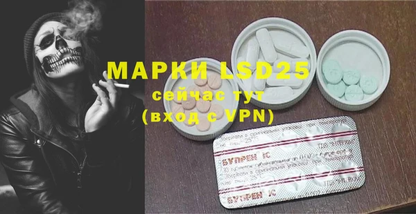 ПСИЛОЦИБИНОВЫЕ ГРИБЫ Алексеевка