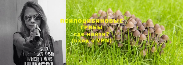 прущие грибы Алзамай