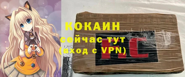 прущие грибы Алзамай