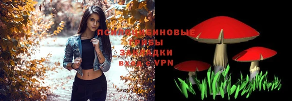 таблы Алексин