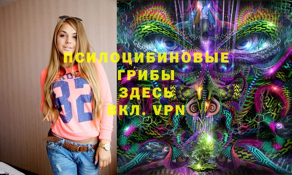 гашик Наволоки