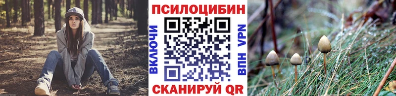 OMG зеркало  Сухой Лог  Галлюциногенные грибы Psilocybine cubensis 